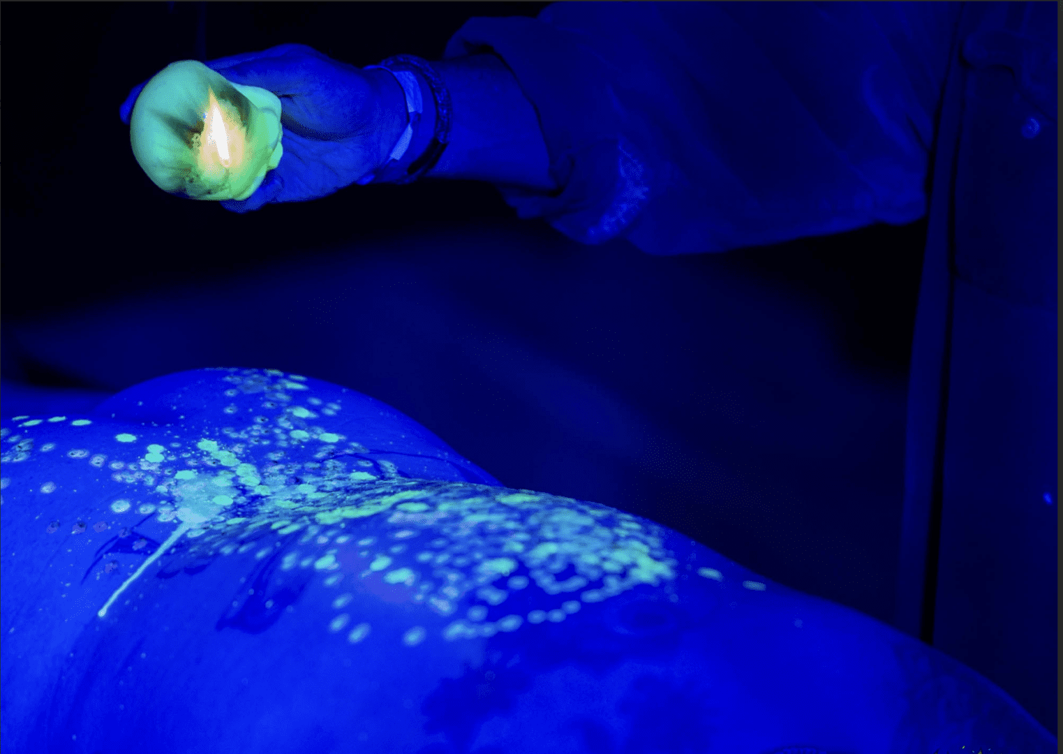 image of flouresent wax being dripped onto a back