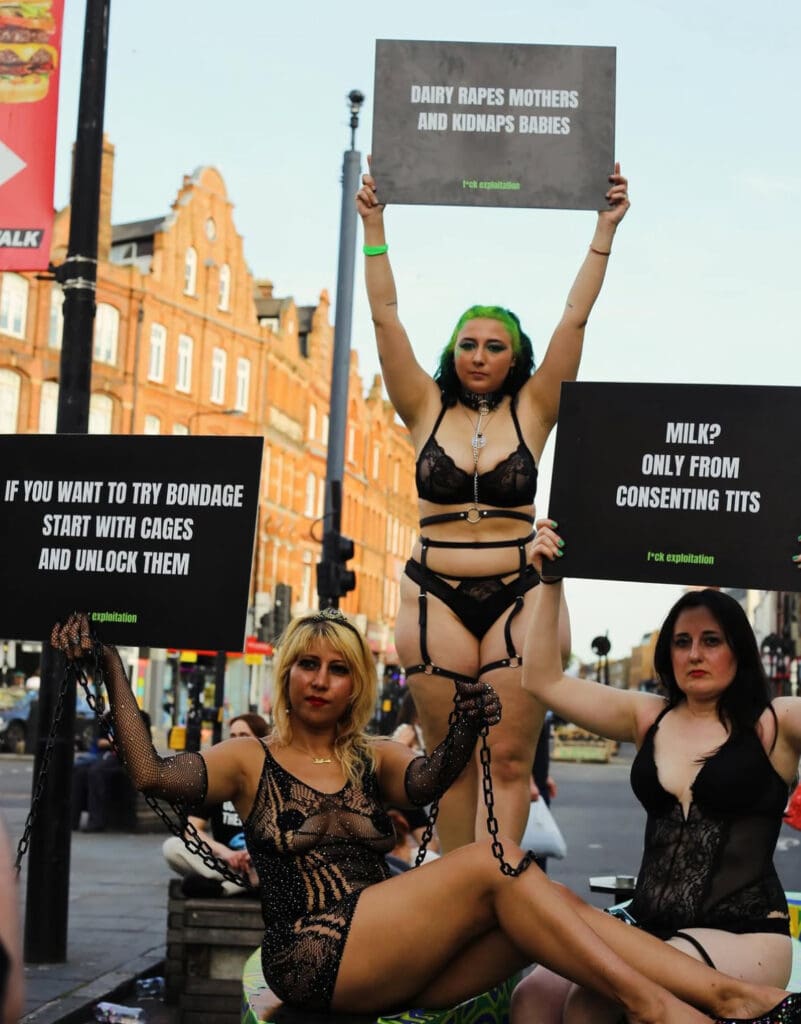 Gloria Nuzzi accompanied by other protestors in lingerie holding signs such as 'if you want to try bondage start with cages and unlock them'