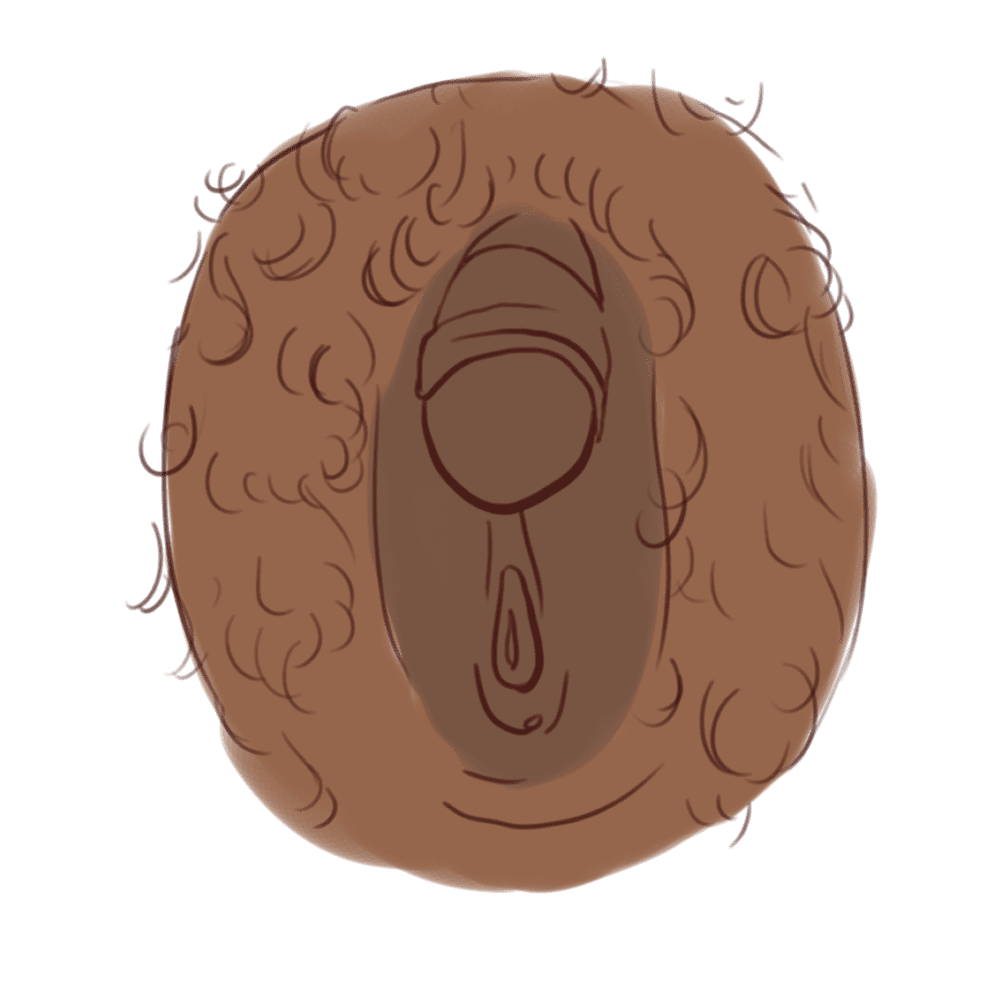 Illustration of intersex genitals by Elyssa Rider